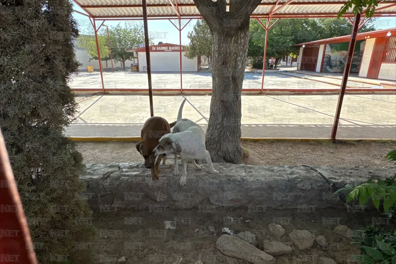 Cierran primaria por protesta: acusan ataques de perros y desvío de recursos