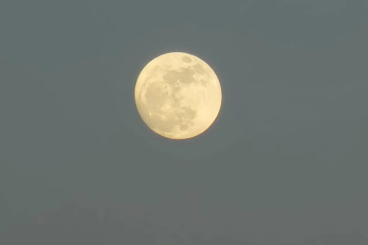 No lo olvides, sal a ver la Luna de Fresa