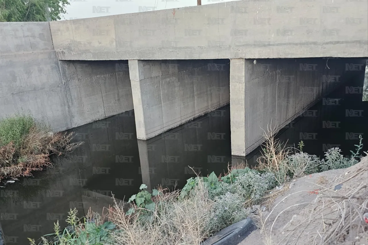 ¡Insoportable! Vecinos de San Carlos exigen acción por plaga de mosquitos