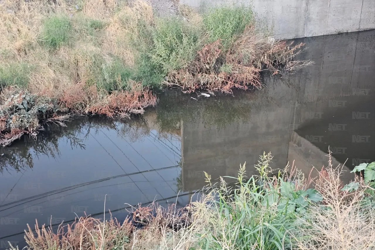 Vecinos de San Carlos exigen acción por plaga de mosquitos