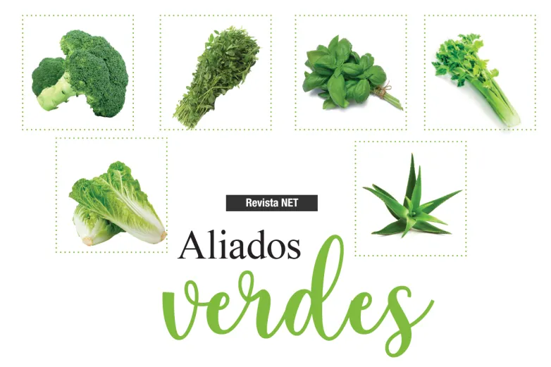 Aliados verdes para una vida saludable