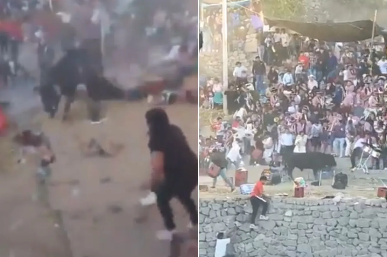 Escapa toro durante corrida y deja 30 heridos en Perú