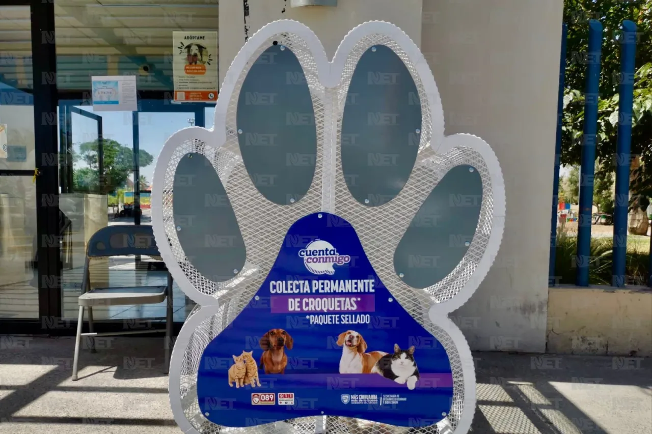 Colocan contenedores recaudatorios de alimento para mascotas en Parque Central