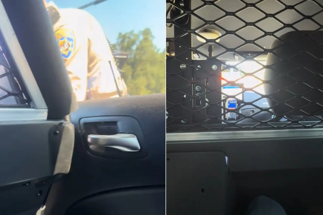 ¡Una de Chalino pa’ el camino!, pide migrante tras ser detenido por el ICE