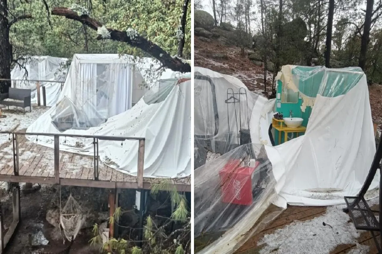 Fuerte granizo destroza 'hotel burbuja' en zona boscosa de Creel