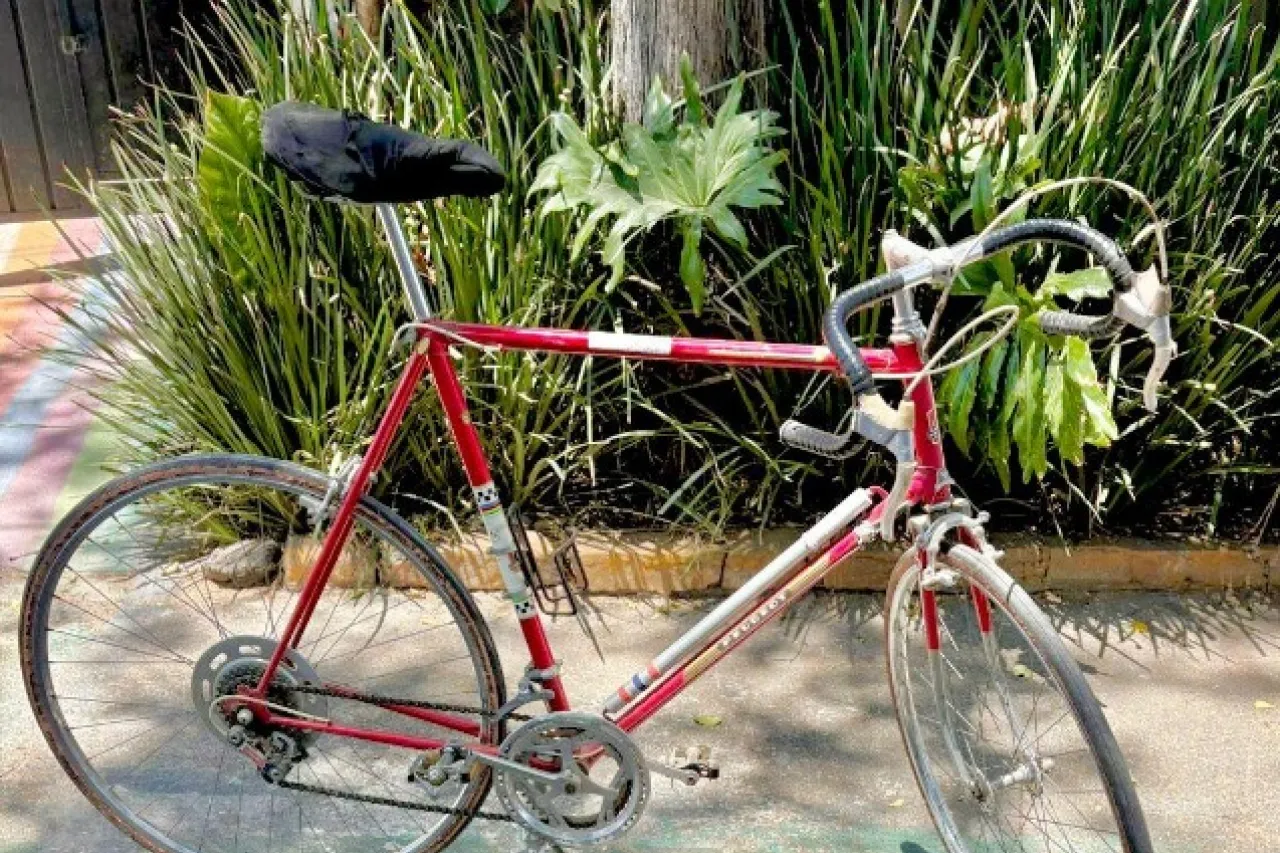 Cortesía