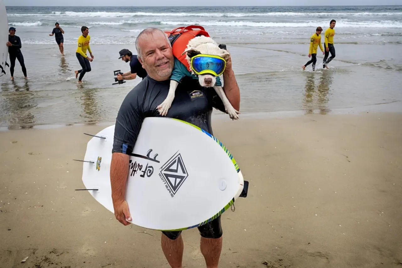 Fotos de los mejores perros surfistas en California se vuelven virales