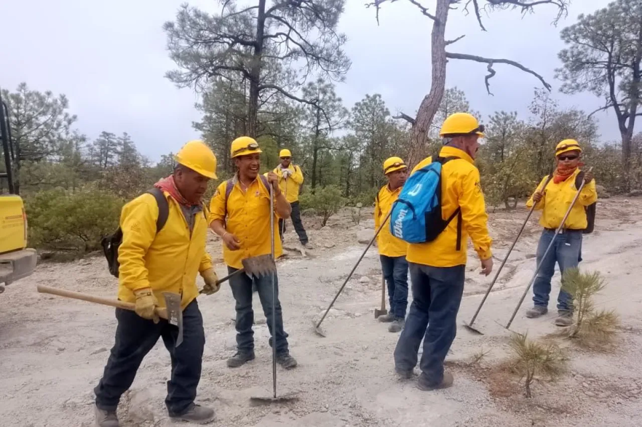 Chihuahua, sin incendios forestales activos