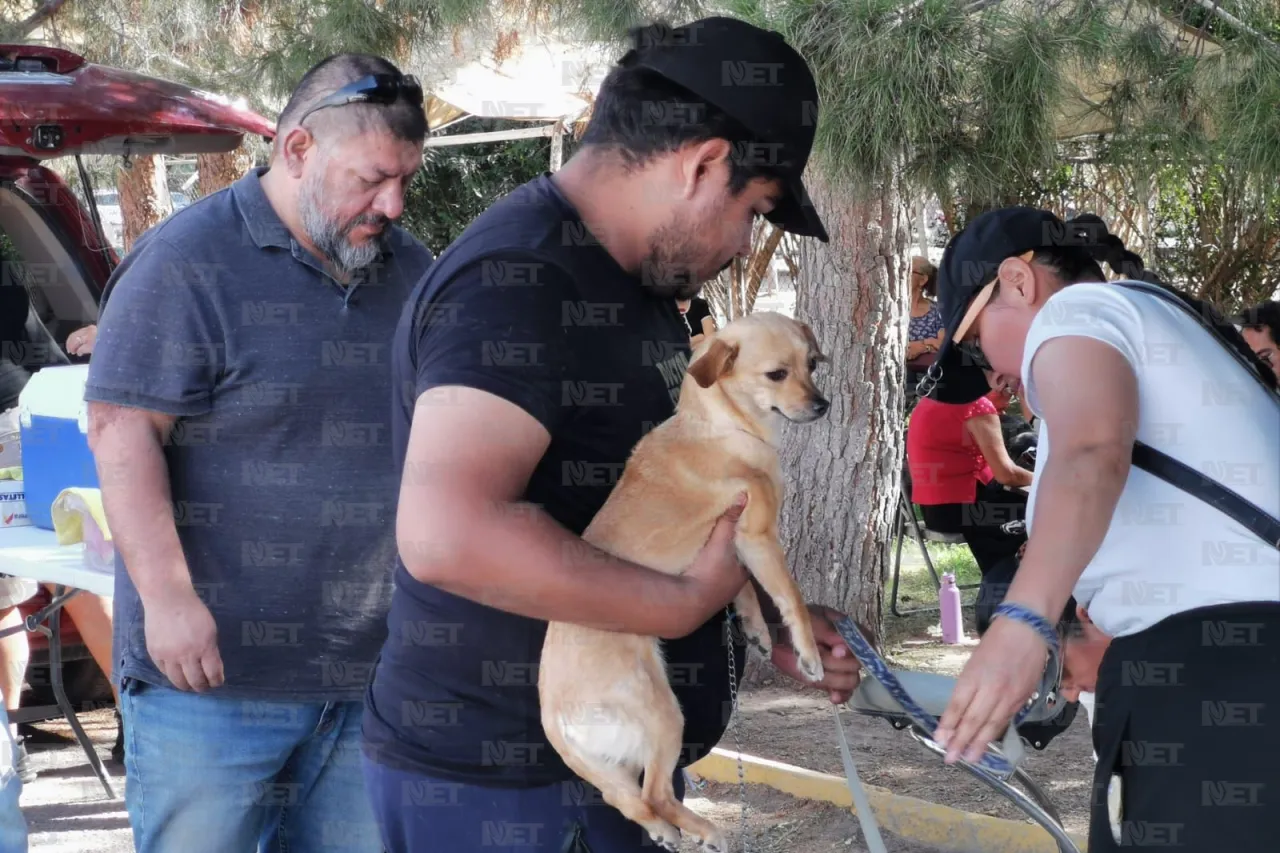 Exitoso segundo día de esterilizaciones gratuitas en El Chamizal