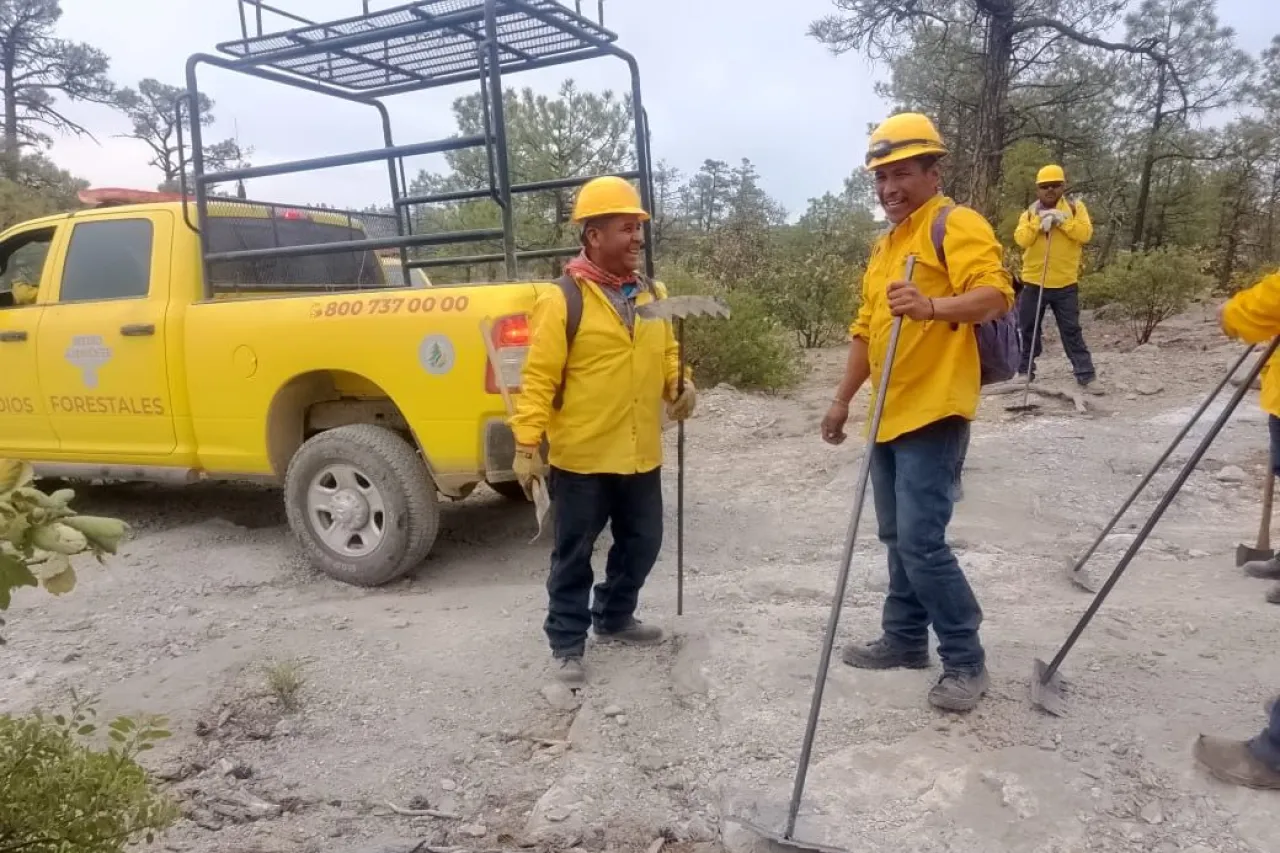 Chihuahua, sin incendios forestales activos