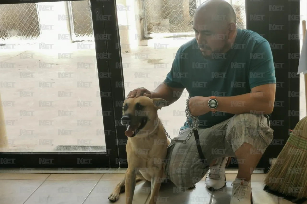 Exitoso segundo día de esterilizaciones gratuitas en El Chamizal
