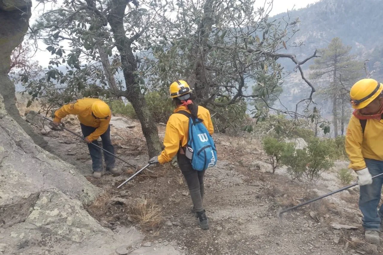 Chihuahua, sin incendios forestales activos