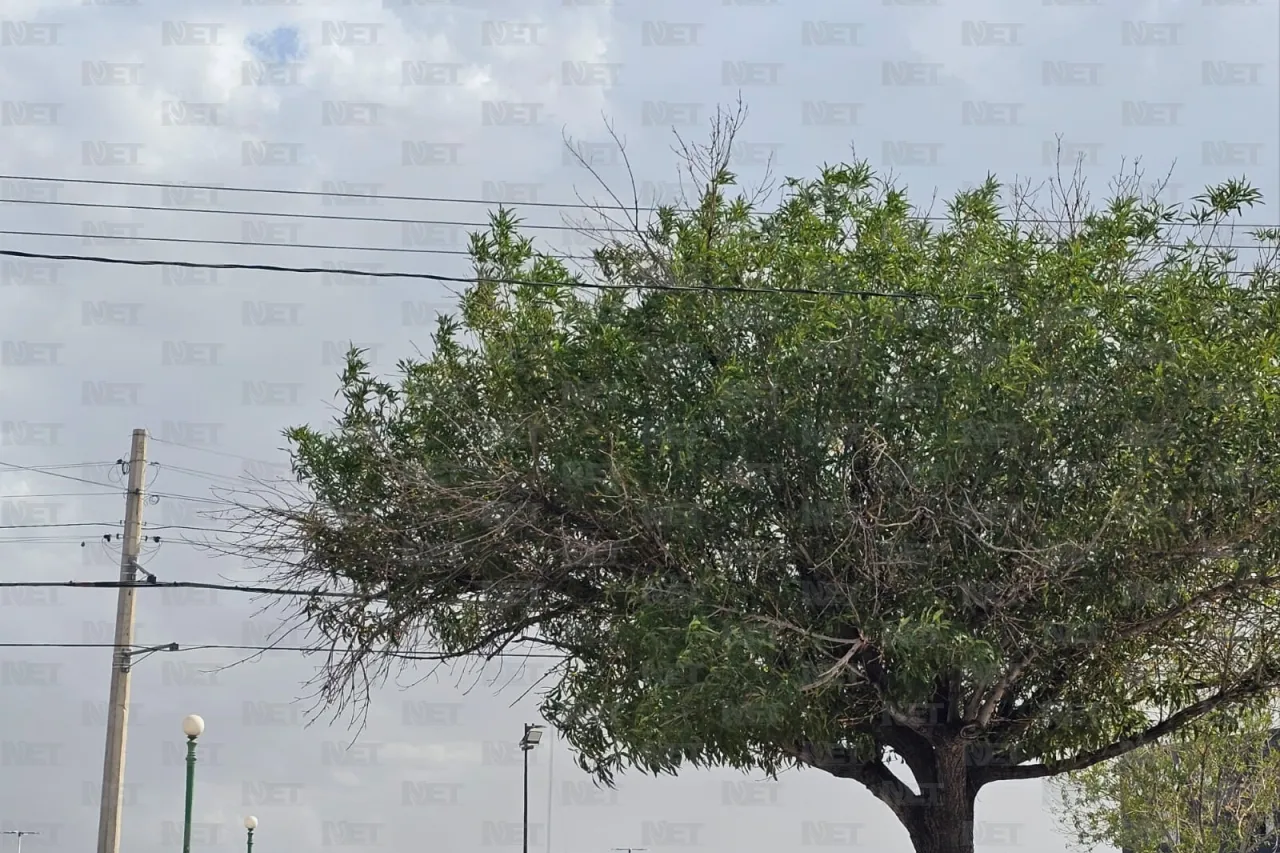 Galería: Parece que va a llover, el cielo se está nublando