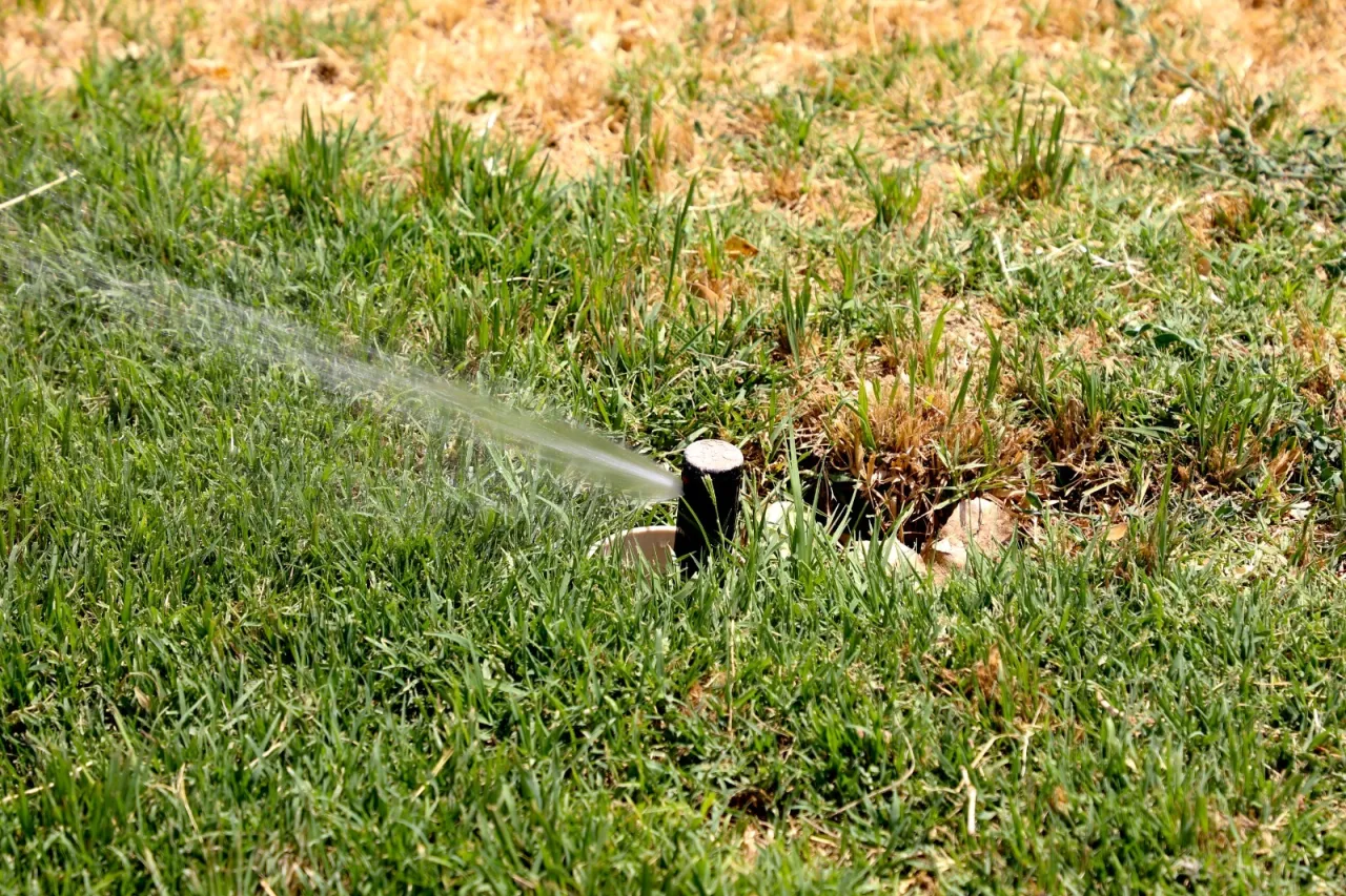 Agua tratada sin costo devuelve la vida a parques en Juárez