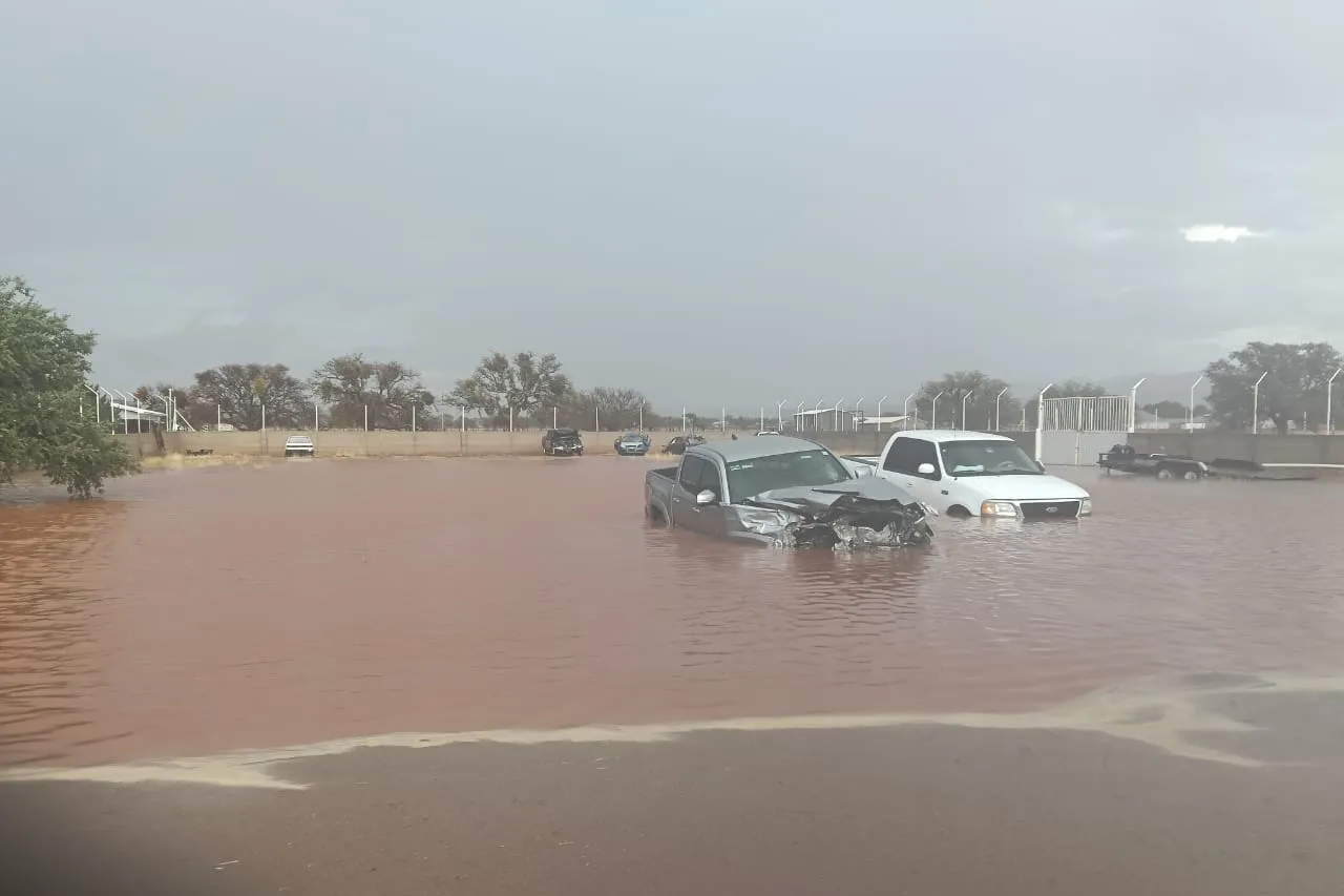 Tormentas provocan daños en campos menonitas y municipios de la sierra