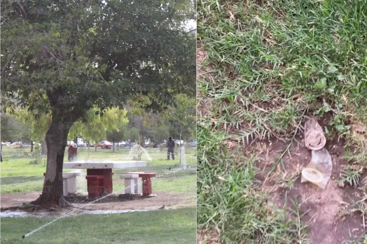 'Lo que se encuentra'; acude a pasear a El Chamizal y halla decenas de condones
