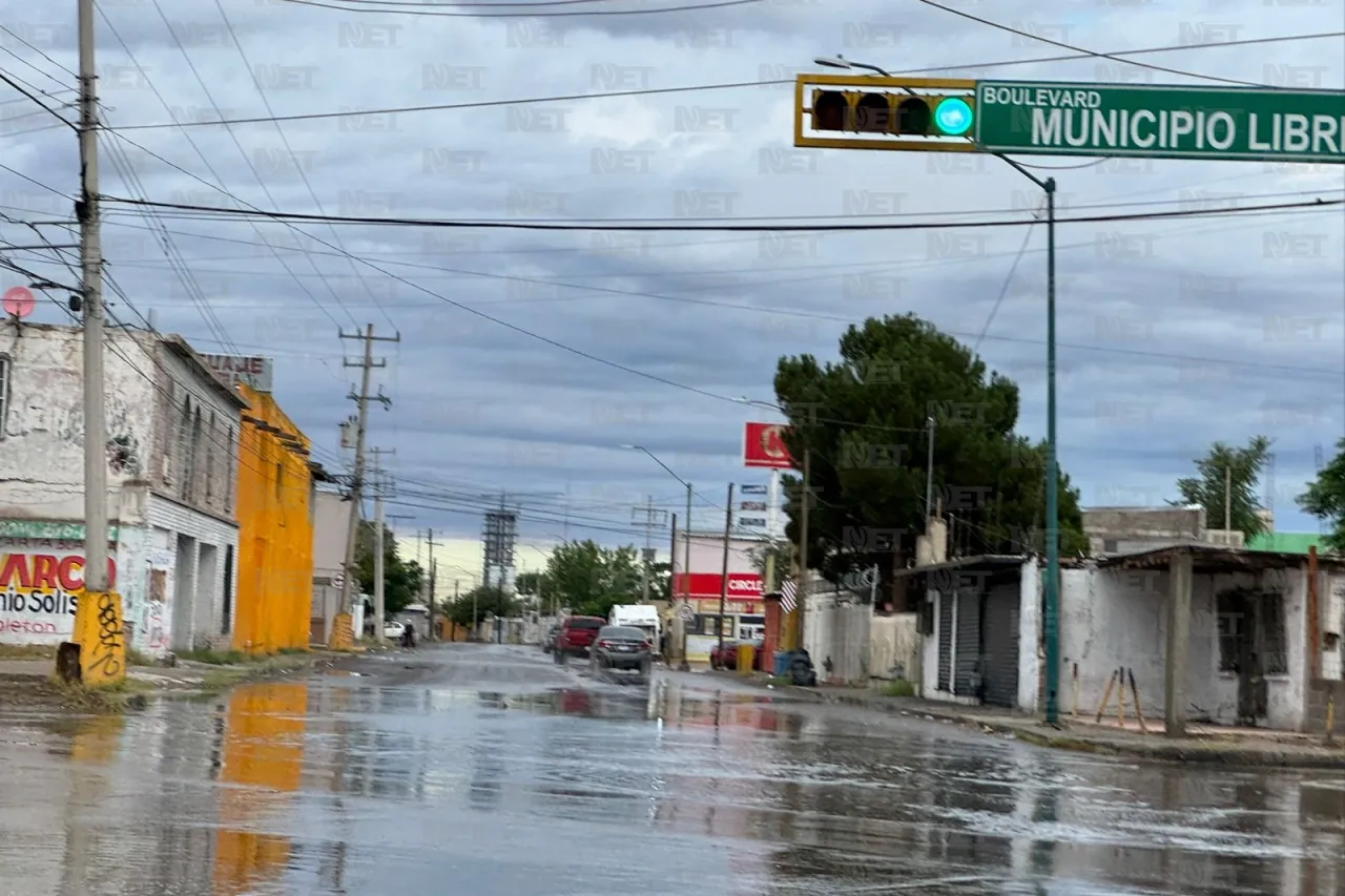 Dámaris Arellanes