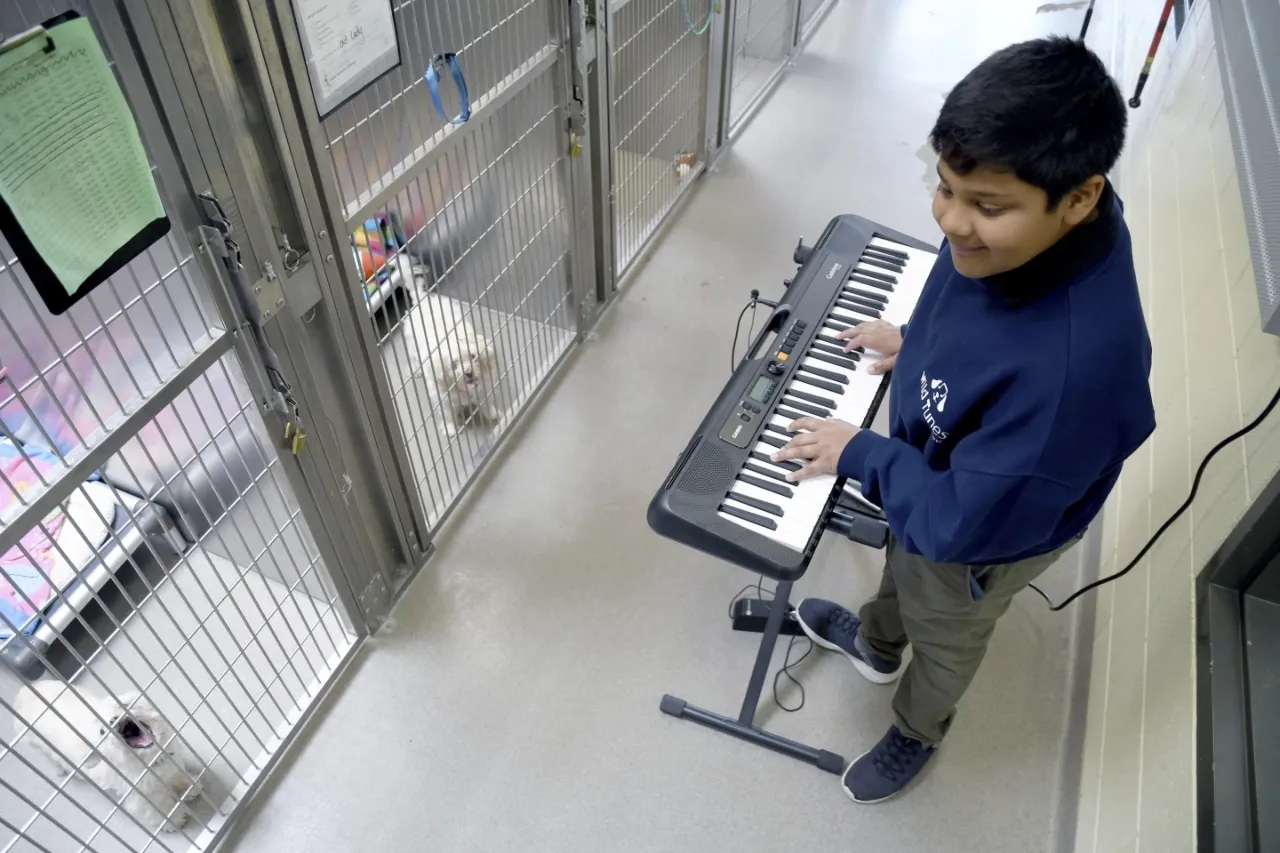 Voluntarios tocan música para calmar a los animales del refugio