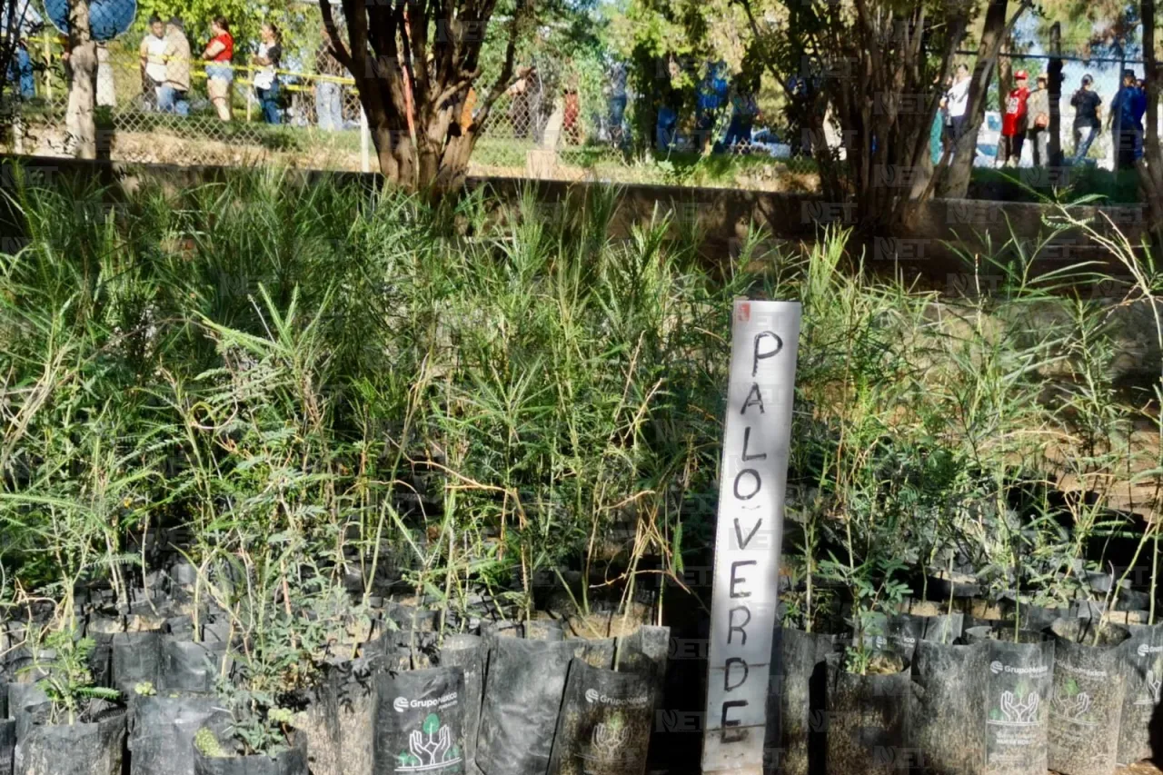 Misión cumplida: Juarenses se comprometen a cuidar y reforestar la ciudad