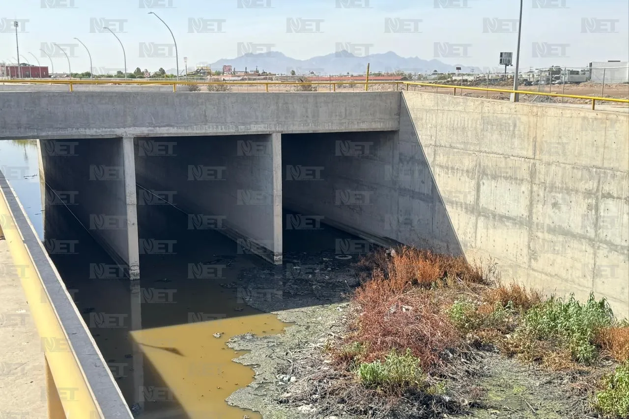 Juárez: Mosquitos proliferan con lluvias y aguas estancadas