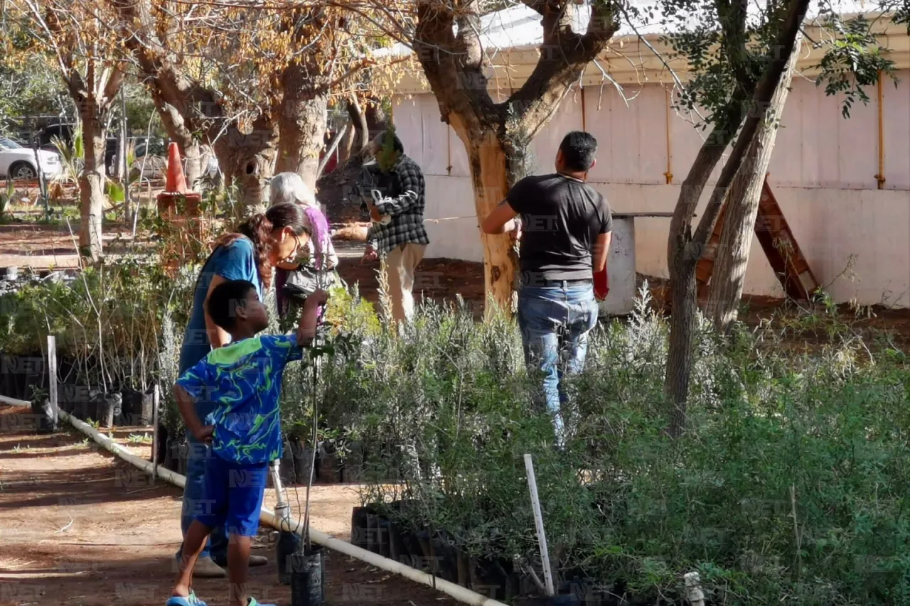 Misión cumplida: Juarenses se comprometen a cuidar y reforestar la ciudad