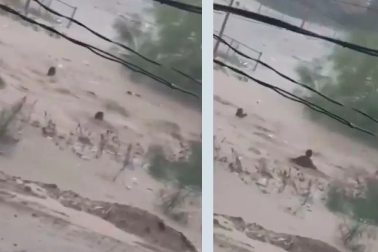 Rescatistas se meten a dique para salvar a niña