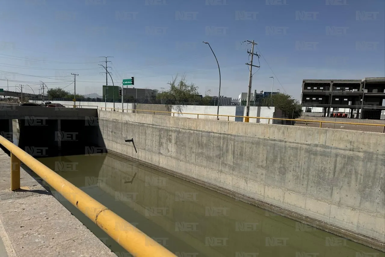 Juárez: Mosquitos proliferan con lluvias y aguas estancadas