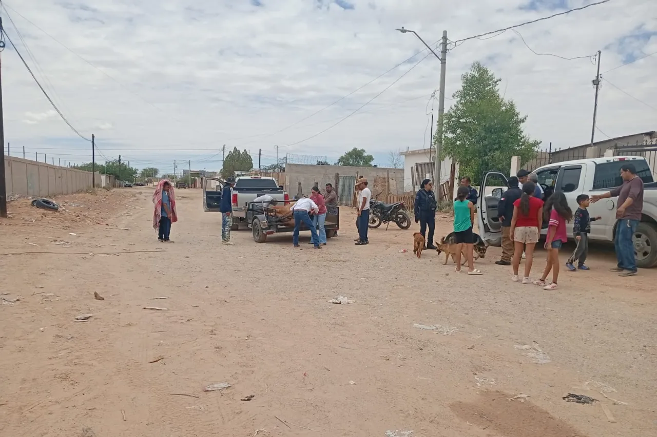Descarga eléctrica deja un niño lesionado y un caballo sin vida