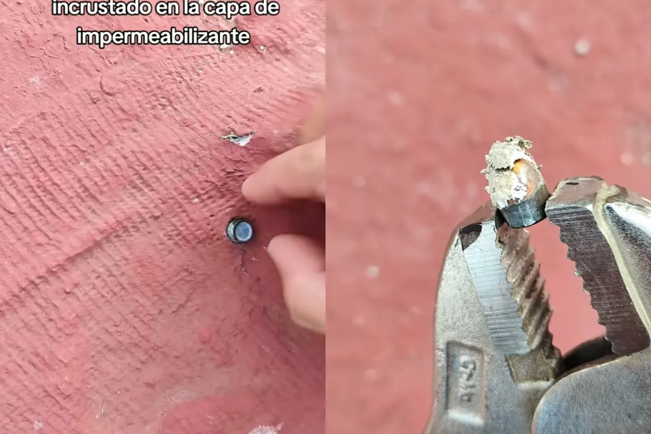 Barre el techo de su casa y encuentra bala incrustada en el impermeabilizante