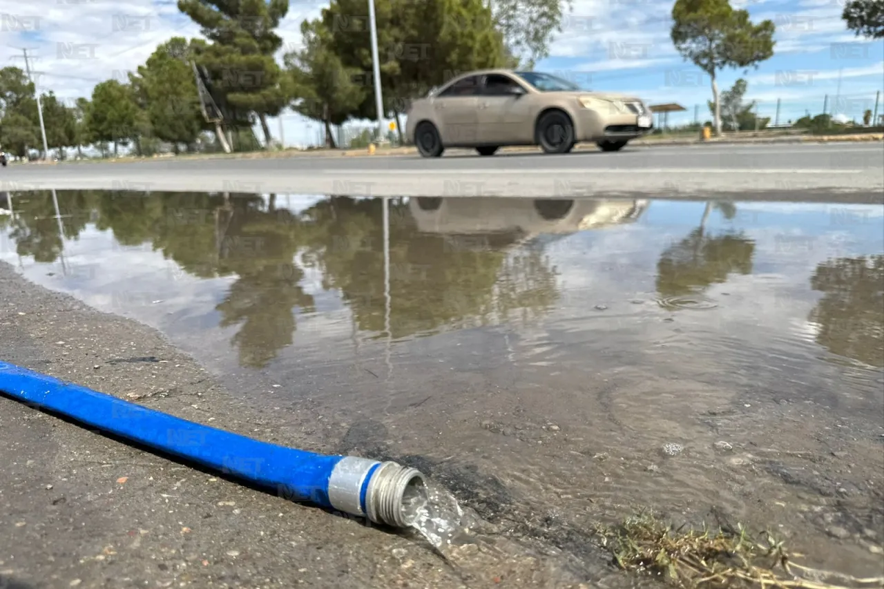 Afectaron lluvias 30% de las carpas en El Punto