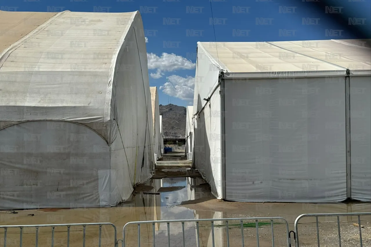 Afectaron lluvias 30% de las carpas en El Punto