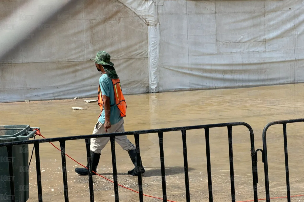 Afectaron lluvias 30% de las carpas en El Punto