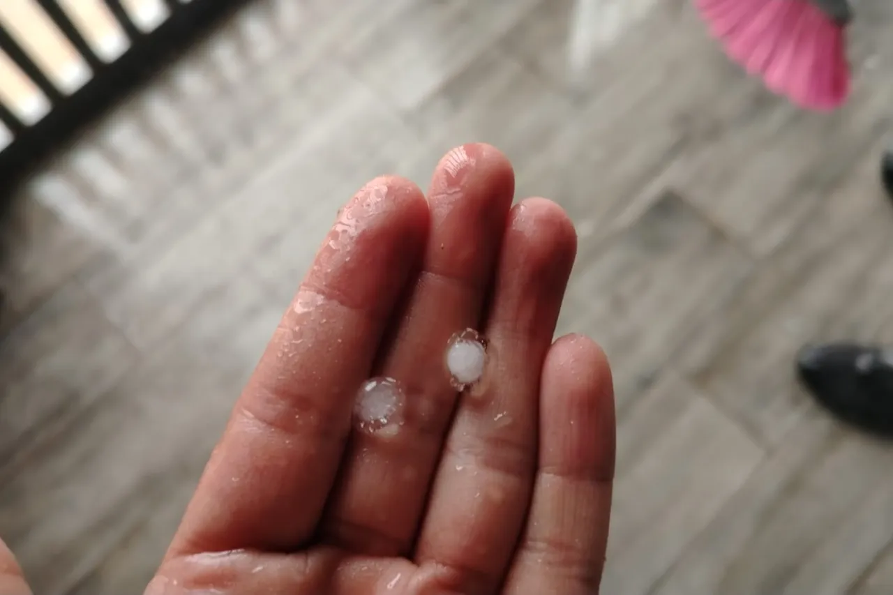 Reporta CEPC incidencias por lluvias la tarde del domingo