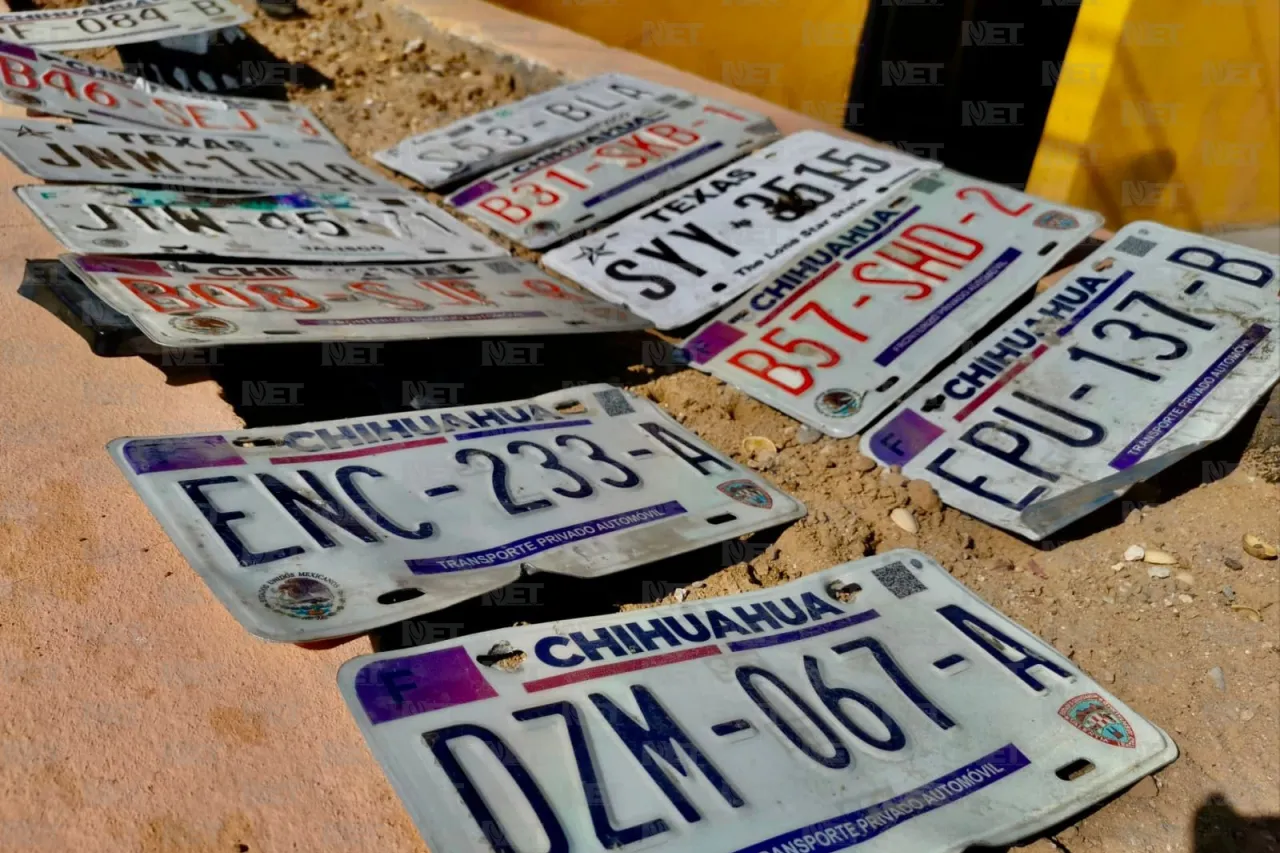 ¿Perdiste tu placa en la lluvia? Así puedes reponerla