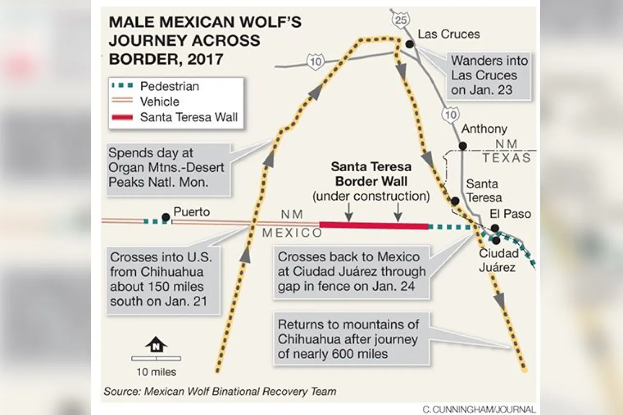 Exhortan a proteger especies y pedir se frene construcción de muro fronterizo