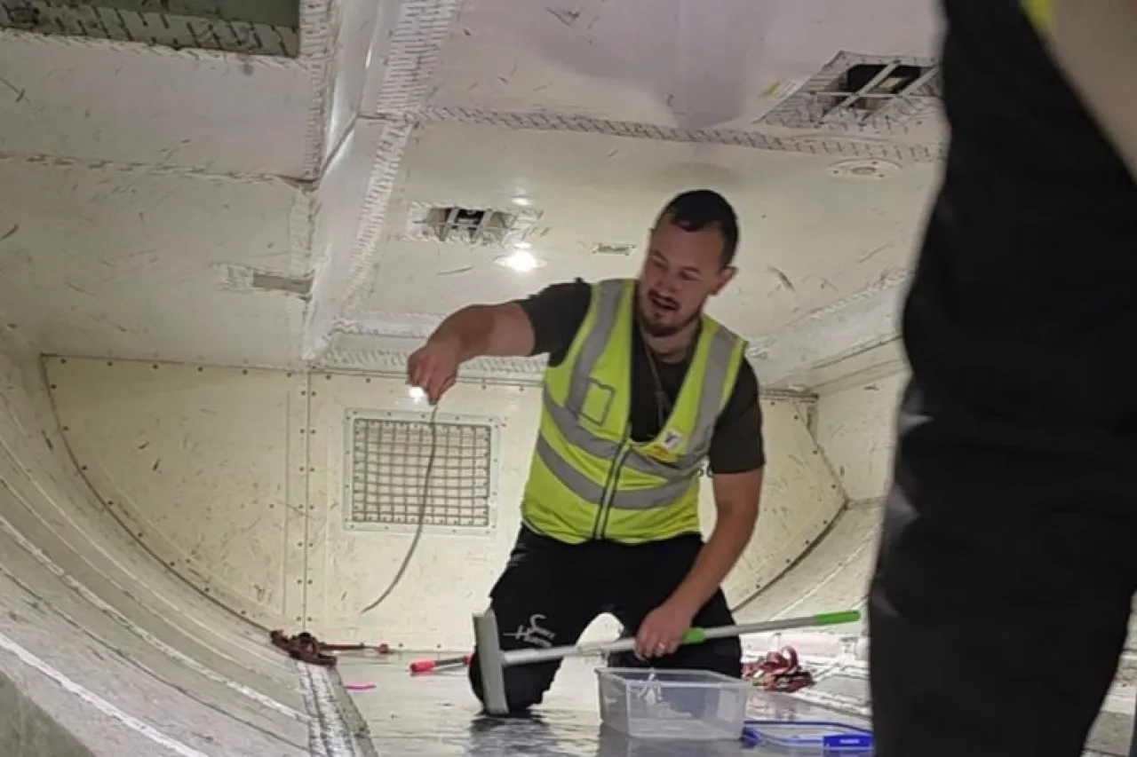 Una serpiente en un avión retrasa un vuelo en Australia
