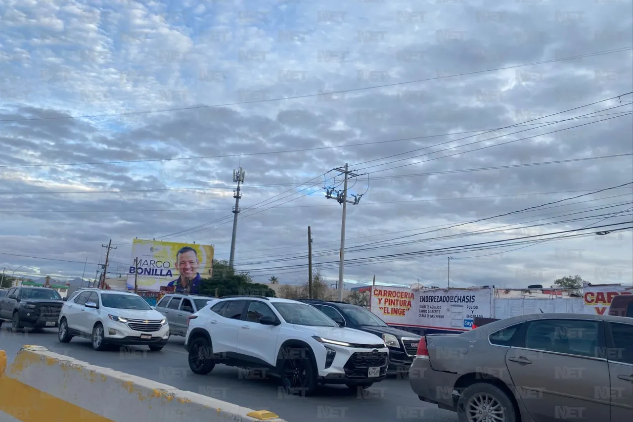 Dámaris Arellanes