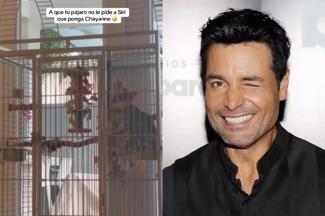 Loro pide a Siri que le pongan a Chayanne y se vuelve viral en redes