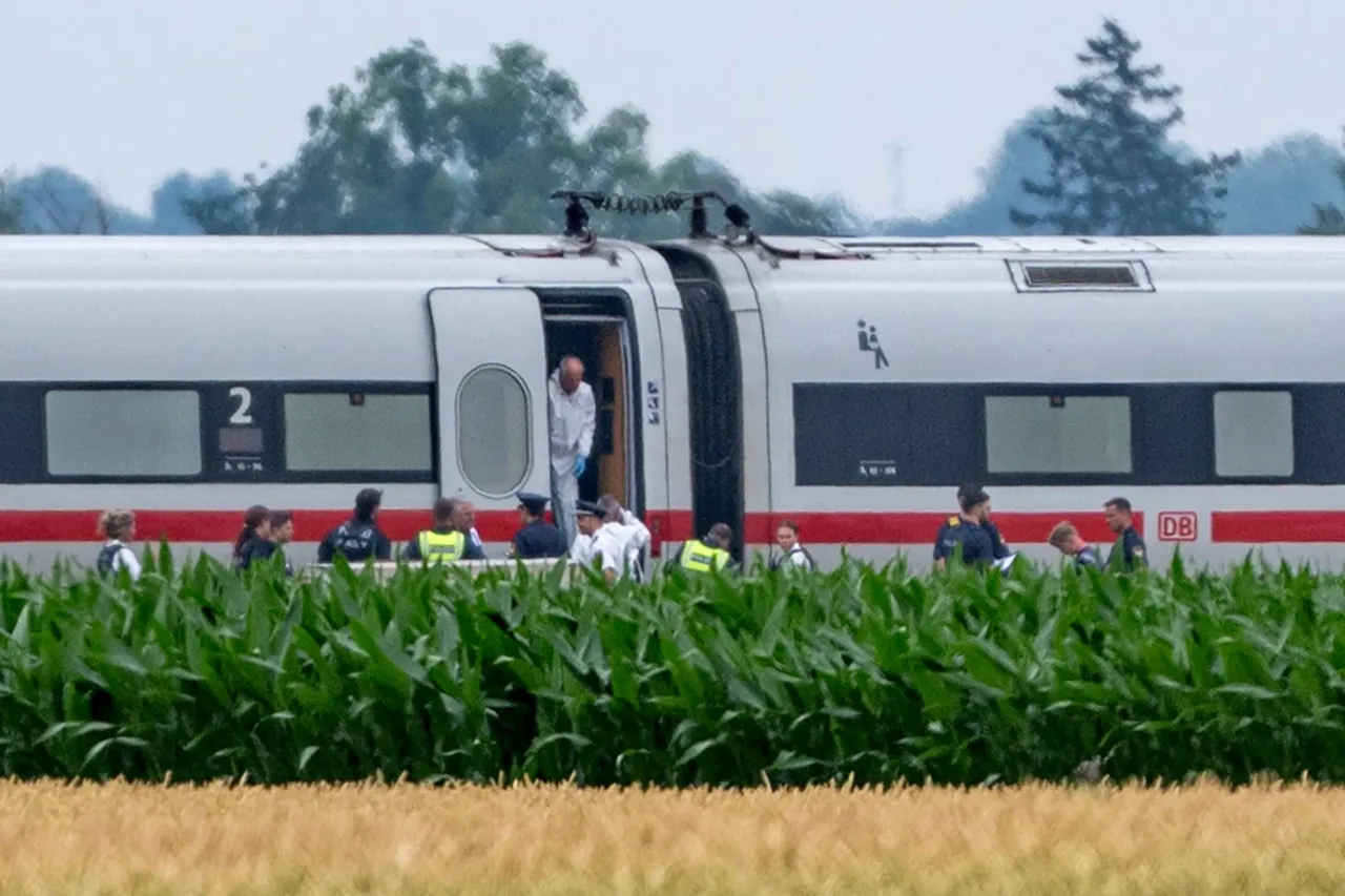 Hombre hiere a 4 personas con martillo en tren en Alemania
