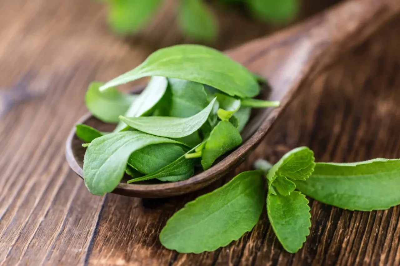¿Stevia, Fruta del Monje? Qué endulzante elegir como sustituto del azúcar