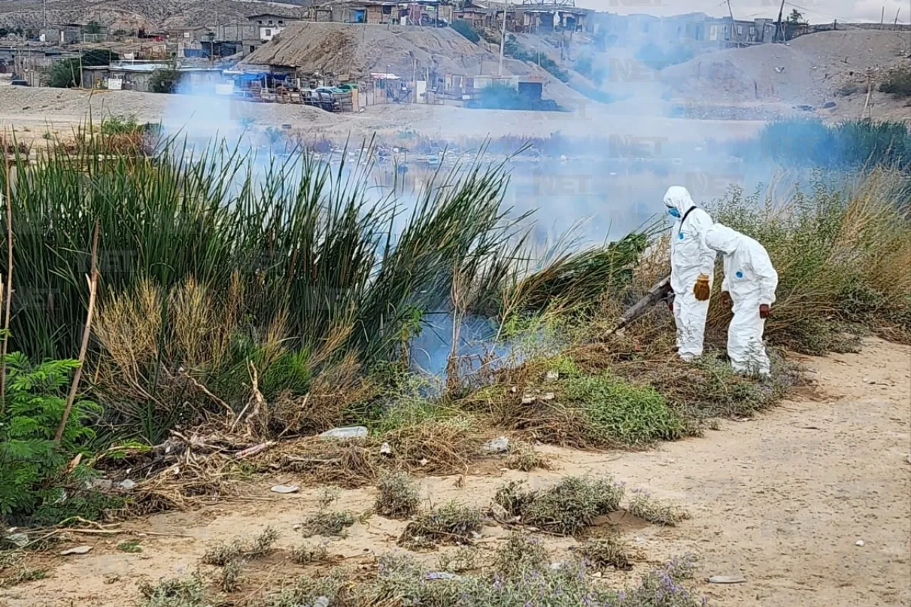 Aplica Vectores y Zoonosis protección contra mosquitos en Juárez