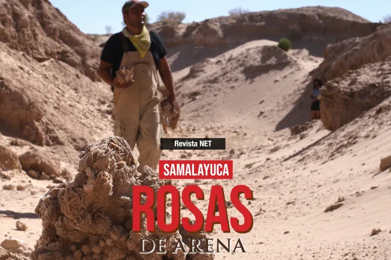Rosas de arena: Un legado que florece bajo el sol