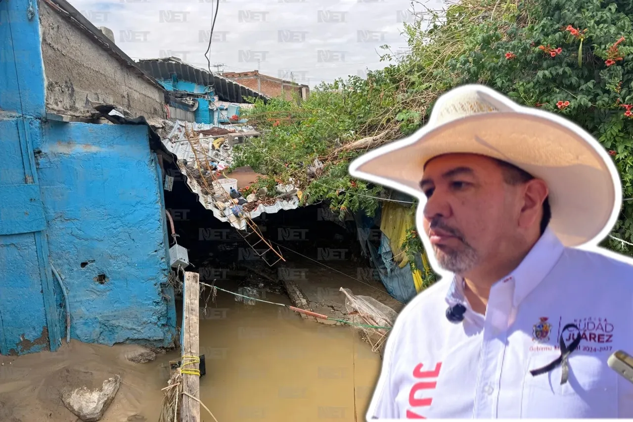 Net Noticias