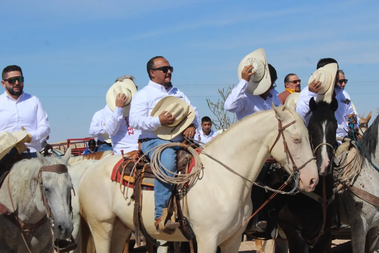 Dámaris Arellanes