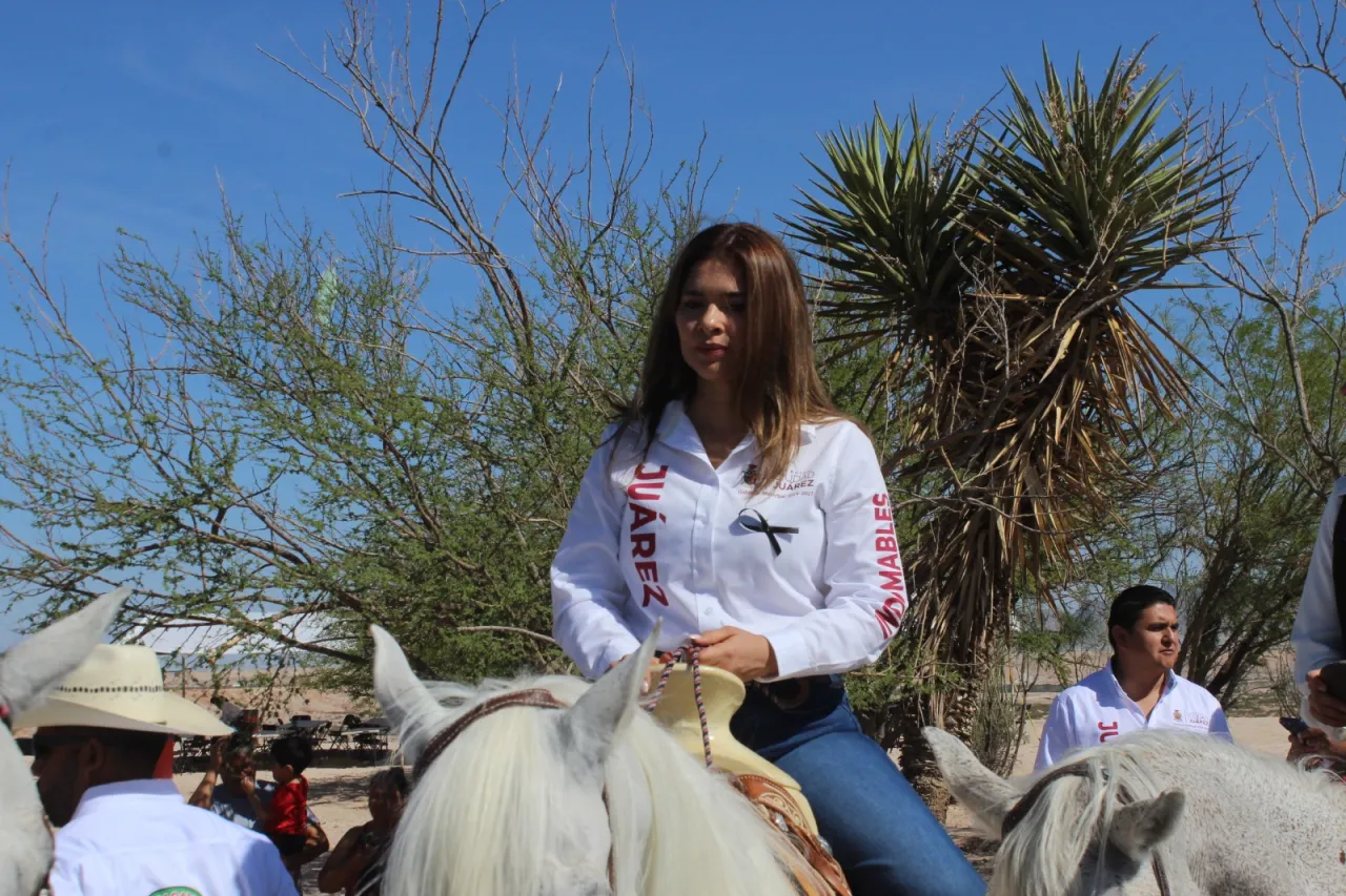 Dámaris Arellanes