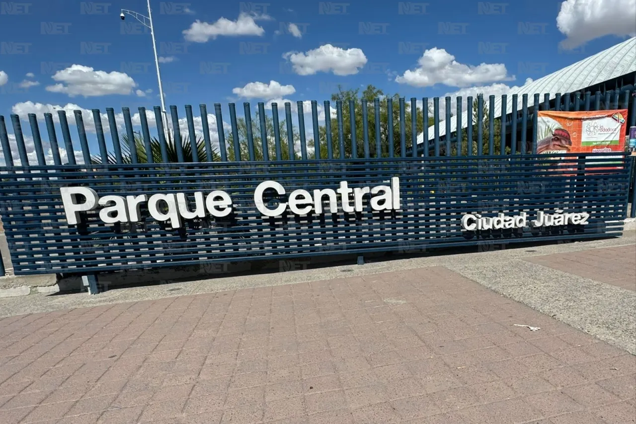 Libros gratis y talleres el domingo en el Parque Central