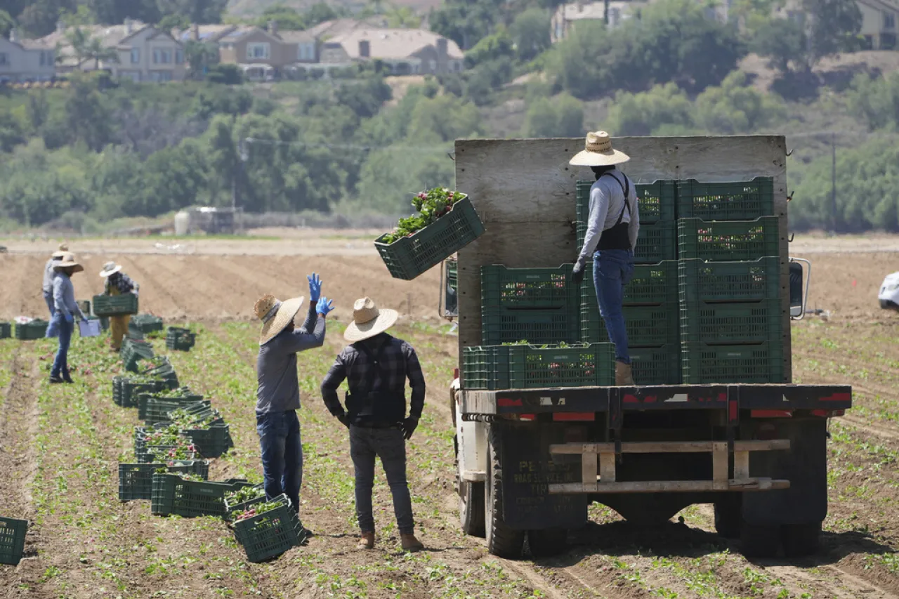 Redadas migratorias amenazan negocios que abastecen alimentos en EU