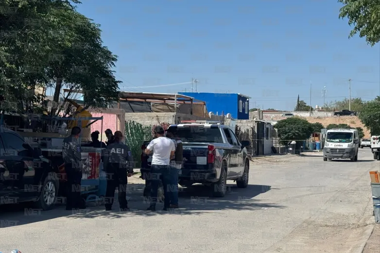 Pitbulls defienden a su dueño de sicarios y víctima logra escapar 