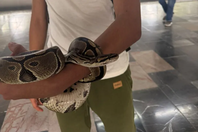 Sorprenden a menor con una serpiente en el Metro de la CDMX