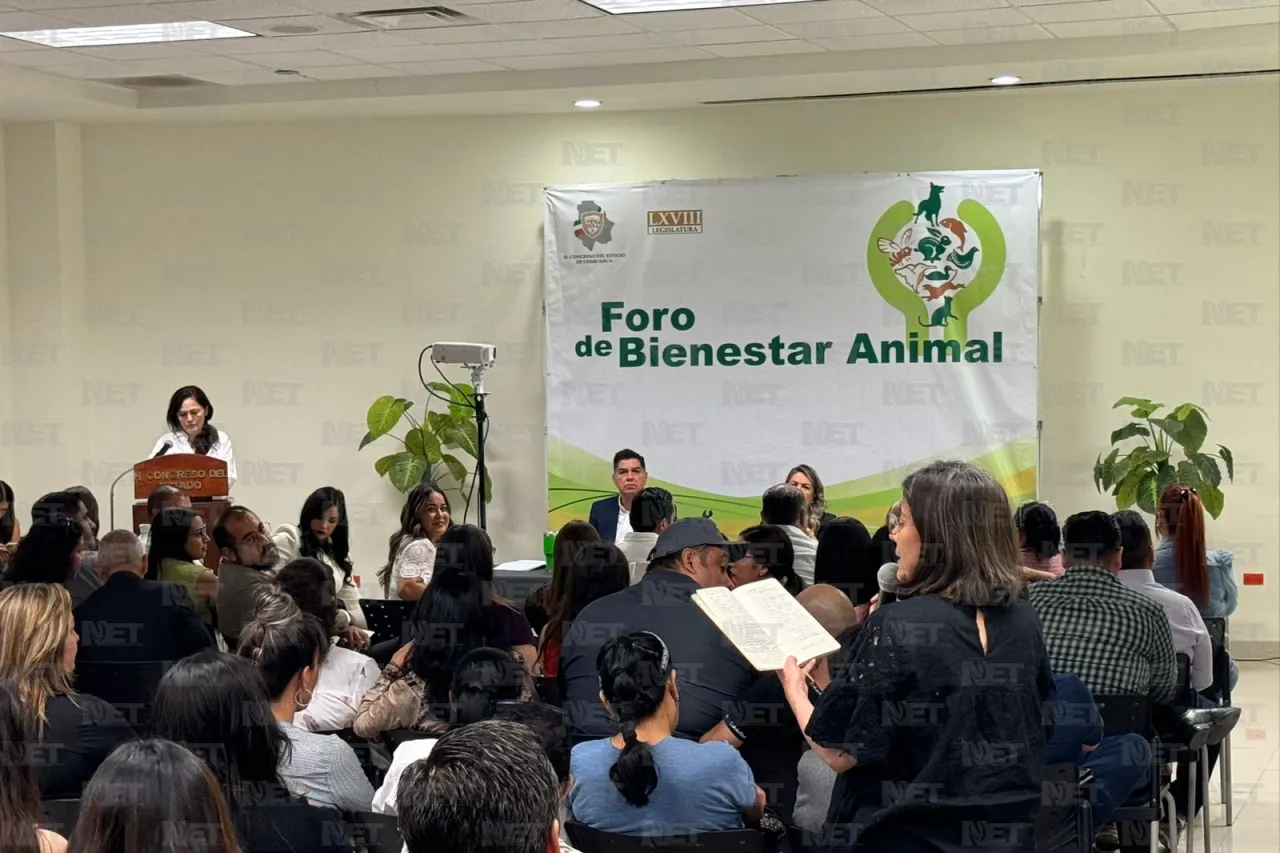 Proponen veterinarias móviles y más sanciones por maltrato animal